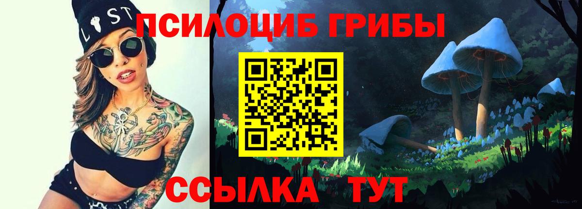 Галлюциногенные грибы MAGIC MUSHROOMS Дзержинск